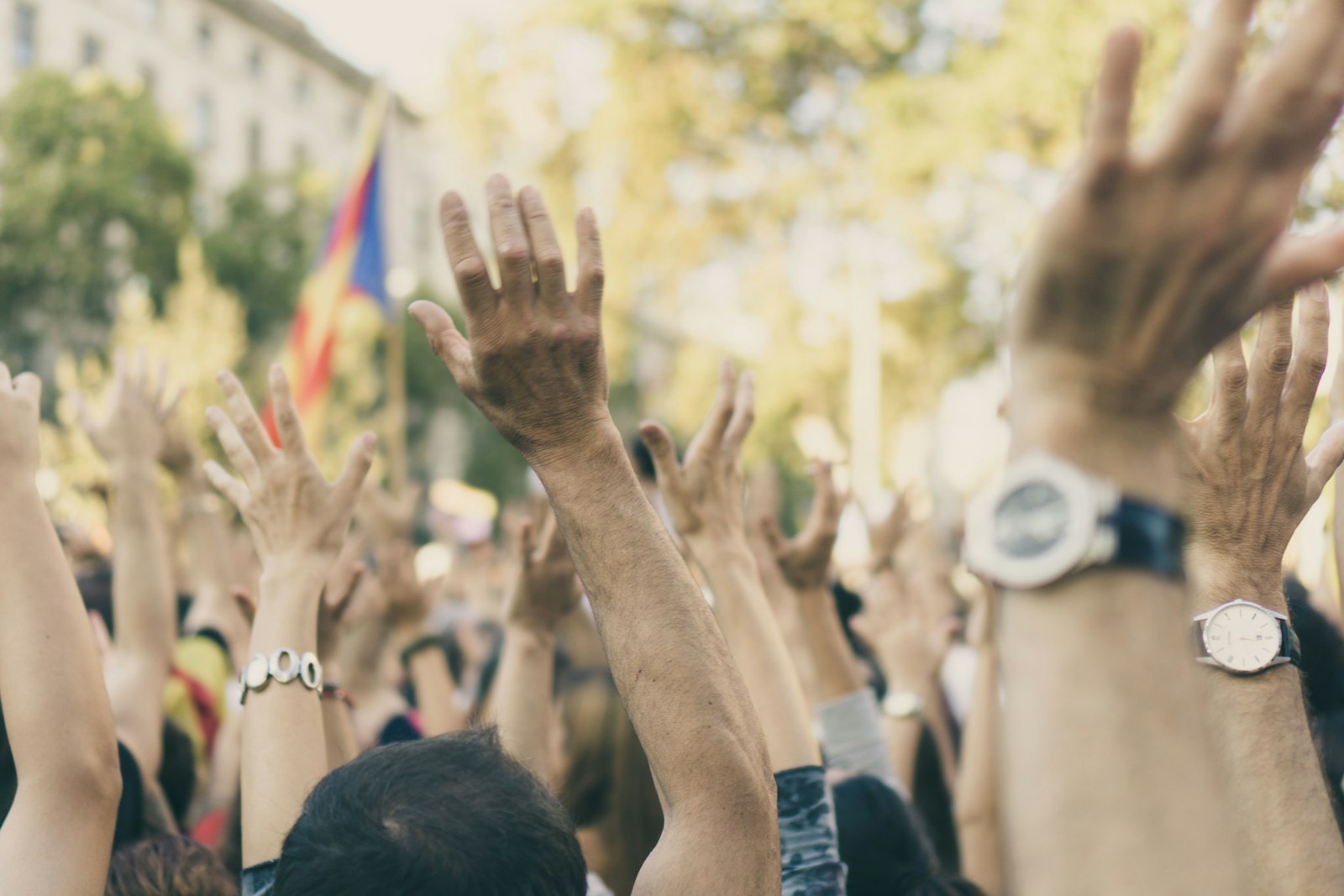 Crowd of people raising their hands enthusiastically at a community event